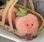 Jellycat dupe fruit Peach With Legs Kawaii With Legs Smiling Face Fruit Figured Carousel 3