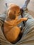 Simba - Chance 4 Change Carousel 4