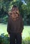 Possum Merino Cavern V Neck Jumper Carousel 11