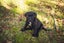 Marmite - Chance 4 Change Carousel 4