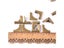 Loading Image 1 of 10