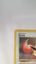 Eevee Black Star Promo Pokemon Carousel 5