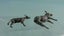 Vintage Britains Farm Lead Animals: Donkey & Goat Carousel 3