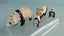 Vintage Britains Zoo Lead Animals: Panda Bears Carousel 4