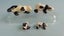 Vintage Britains Zoo Lead Animals: Panda Bears Carousel 6