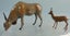 Vintage Britains Zoo Lead Animals: Gazelle & Eland Bull Carousel 1