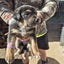 German Shepard X Lab pups Carousel 9