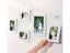 Picture Hooks Hanger NZ Clearance Carousel 9