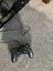 PS4 & controller Carousel 3