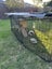 2 x male guinea pigs for adoption/sale Carousel 11
