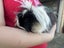 2 x male guinea pigs for adoption/sale Carousel 8