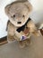 BEAR **MADE IN NEW ZEALAND ** TAGS ON ** Please I NEED A HOME ** MOHAIR ** BLAKE Carousel 7