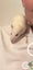 2 Young Male Rats + cage + food + toys Carousel 4