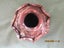 19th C, Lapita Water Pot, Fiji, Ornate Un-glazed,105 mm, VG Carousel 7