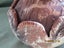 19th C, Lapita Water Pot, Fiji, Ornate Un-glazed,105 mm, VG Carousel 9