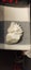 Fossilized Oyster from New Zealand Carousel 2