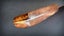 AWESOME SHEFFIELD CARBON STEEL SKINNER- BEAUTIFULLY STAMPED BLADE Carousel 7