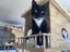 Brave Paws Cat Rescue - Cat - Timmy (ADHD) Carousel 6