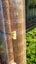 New Bamboo Roman Blind Carousel 3