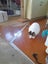 Brave Paws Cat Rescue - Cat - Eep! Carousel 5