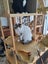 Brave Paws Cat Rescue - Cat - Eep! Carousel 6