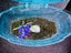Fish tank with accessories and 4 goldfish Carousel 3