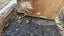 Loading Image 11 of 11