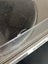 Sony PS-636 Turntable Carousel 4