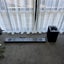 Loading Image 2 of 4