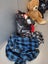 Self Storage Unit Contents - Household Lot Carousel 8