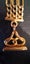 Antique Watch Fob Chain & Seal with Mourning Locket frame 9ct Carousel 5