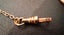 Antique Watch Fob Chain & Seal with Mourning Locket frame 9ct Carousel 7
