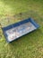 Pet gear Carousel 4