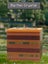 Loading Image 4 of 4