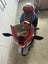 Kids’ Electric Ride-On Motorbike Carousel 3