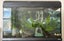 Complete Tropical Fish Tank + Cabinet + Fish + Supplies – Must Go! Carousel 6