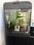 Complete Tropical Fish Tank + Cabinet + Fish + Supplies – Must Go! Carousel 8