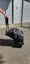 Edwards & Co stroller with travel bag and sun cover Carousel 12