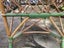 Cane table Carousel 4