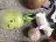 Fidget toys bulk listing shaggy needoh popits squishy toys and more! Carousel 4