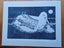 "Royal albatross mother" hand carved & printed lino print by Jan FitzGerald Carousel 1