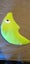 Loading Image 1 of 1