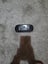 Psp Carousel 2