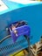 K40 40w CO² laser engraver/cutter- Upgraded. Carousel 6