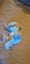 Loading Image 1 of 1