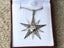 White gold pendant Carousel 2