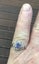 NATURAL SAPPHIRE DIAMONDS PLATINUM RING Carousel 3