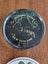 Vintage coasters, x 11 including Waitomo caves Carousel 3