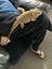 BEARDED DRAGON & accessories Carousel 8