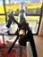 Celestron Firstscope 80EQ Telescope model #21070 Carousel 6